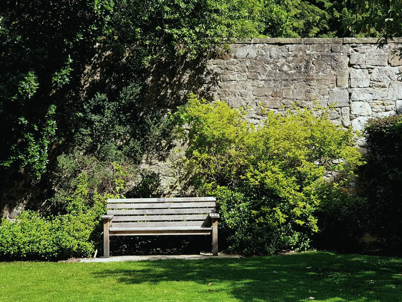 Un banc de bois au pied d'un mur de pierre, dans un jardin