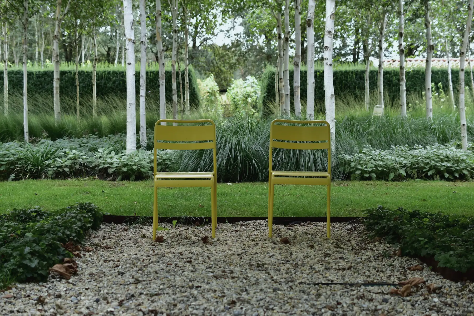 Un jardin contemporain : bouleaux, graminées, haies basses et gravier
