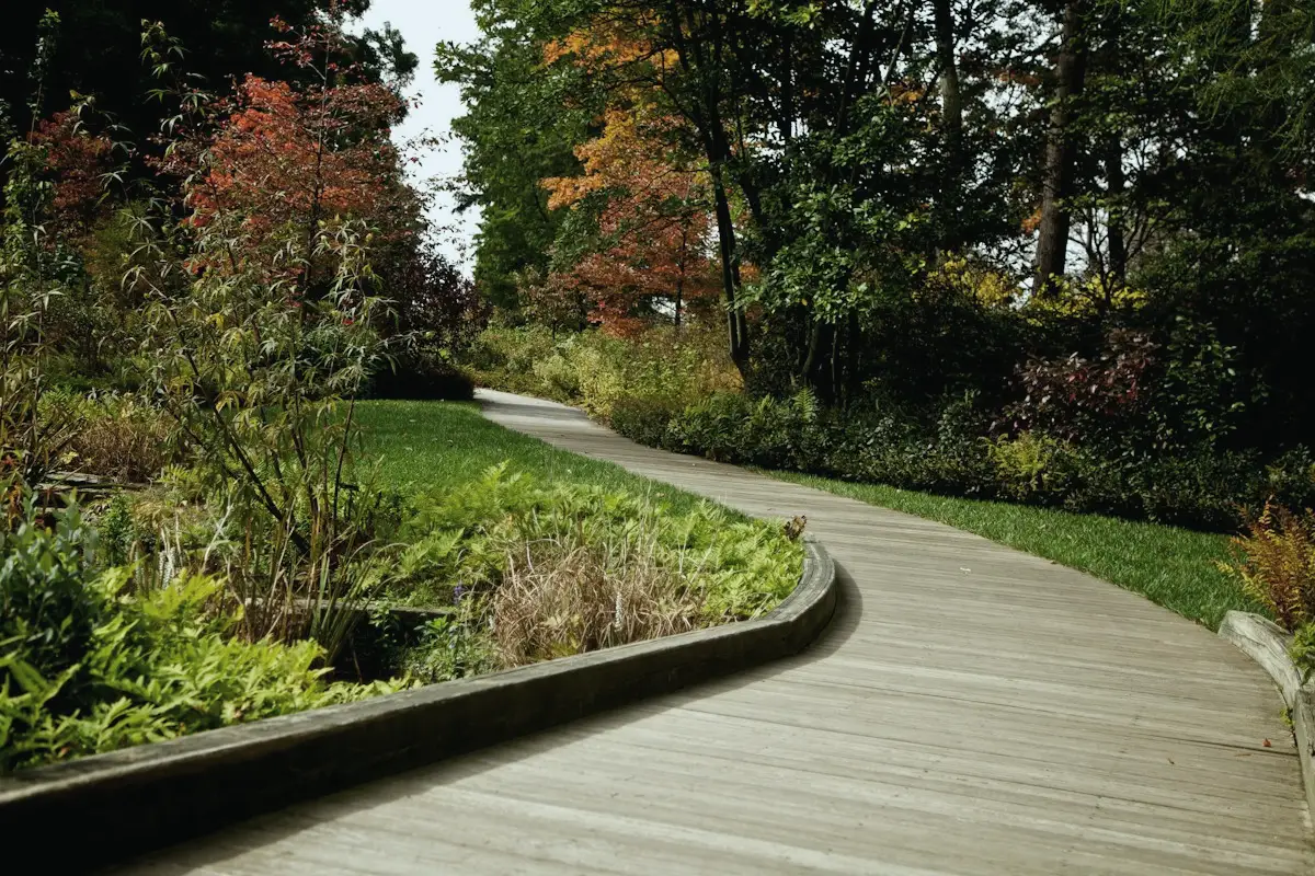 Une promenade en bois qui serpente entre des massifs d'automne